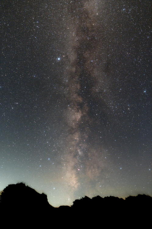 MilkyWay